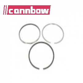 500055470 Piston rings